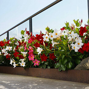 Blumenkübel Diamantina