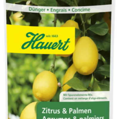 Citrus & Palm Liquid Fertilizer