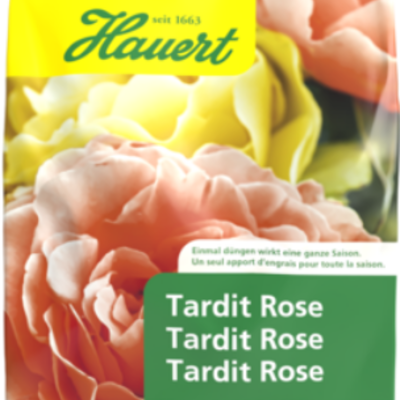 Tardit Rose